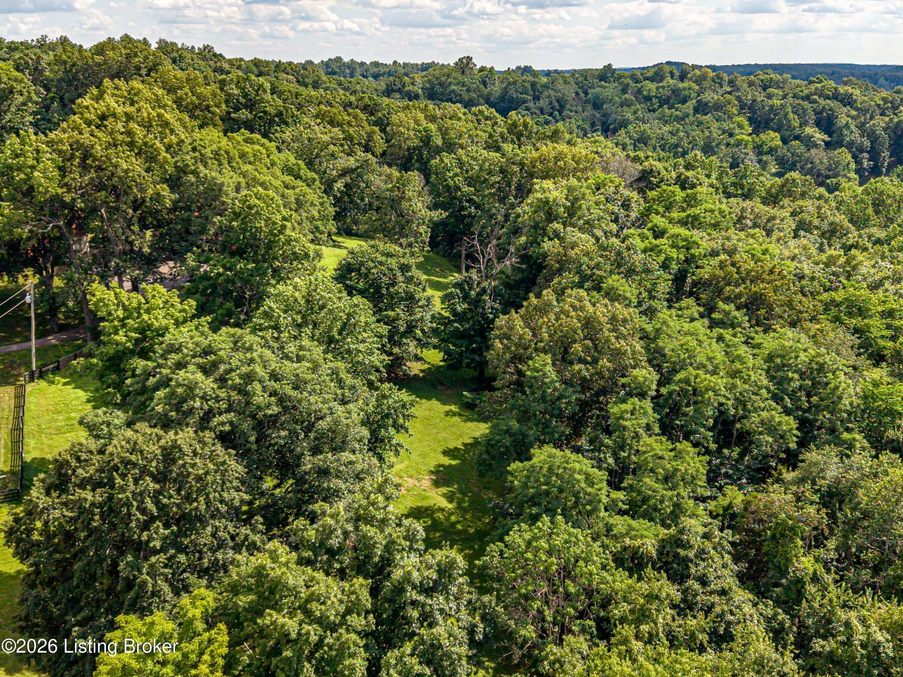 265 Longview Road Guston, KY 40142 - Photo 96 of 99 096_DJI_20260624043117_0210_D