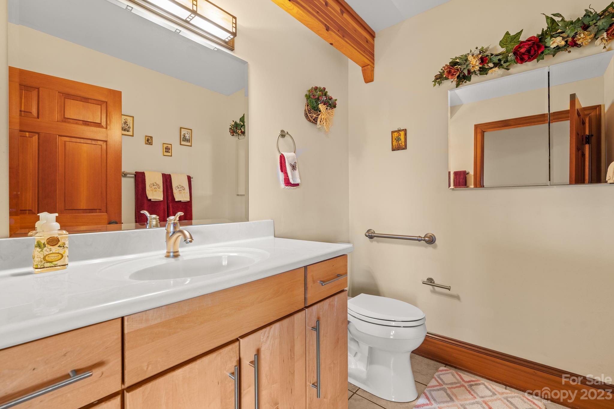 202 Mt Olive Drive Asheville, NC 28804 - Photo 26 of 48 a bathroom with a sink a toilet and a mirror