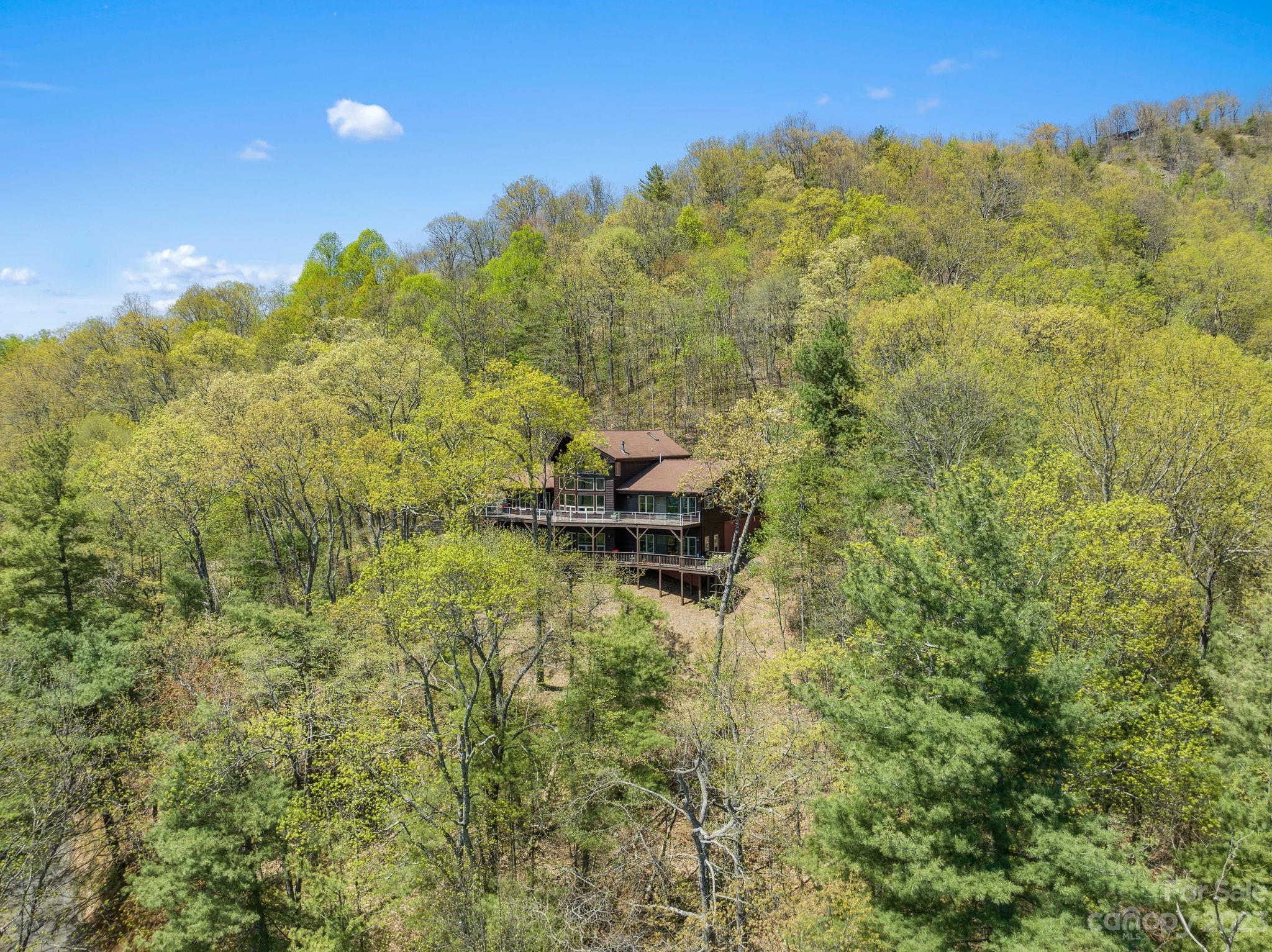 202 Mt Olive Drive Asheville, NC 28804 - Photo 3 of 48 a backyard of a house with a yard and outdoor seating