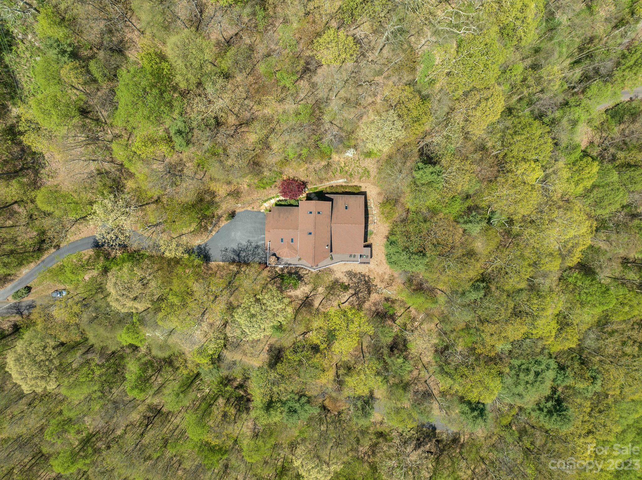 202 Mt Olive Drive Asheville, NC 28804 - Photo 43 of 48 a picture of a tree with a wall