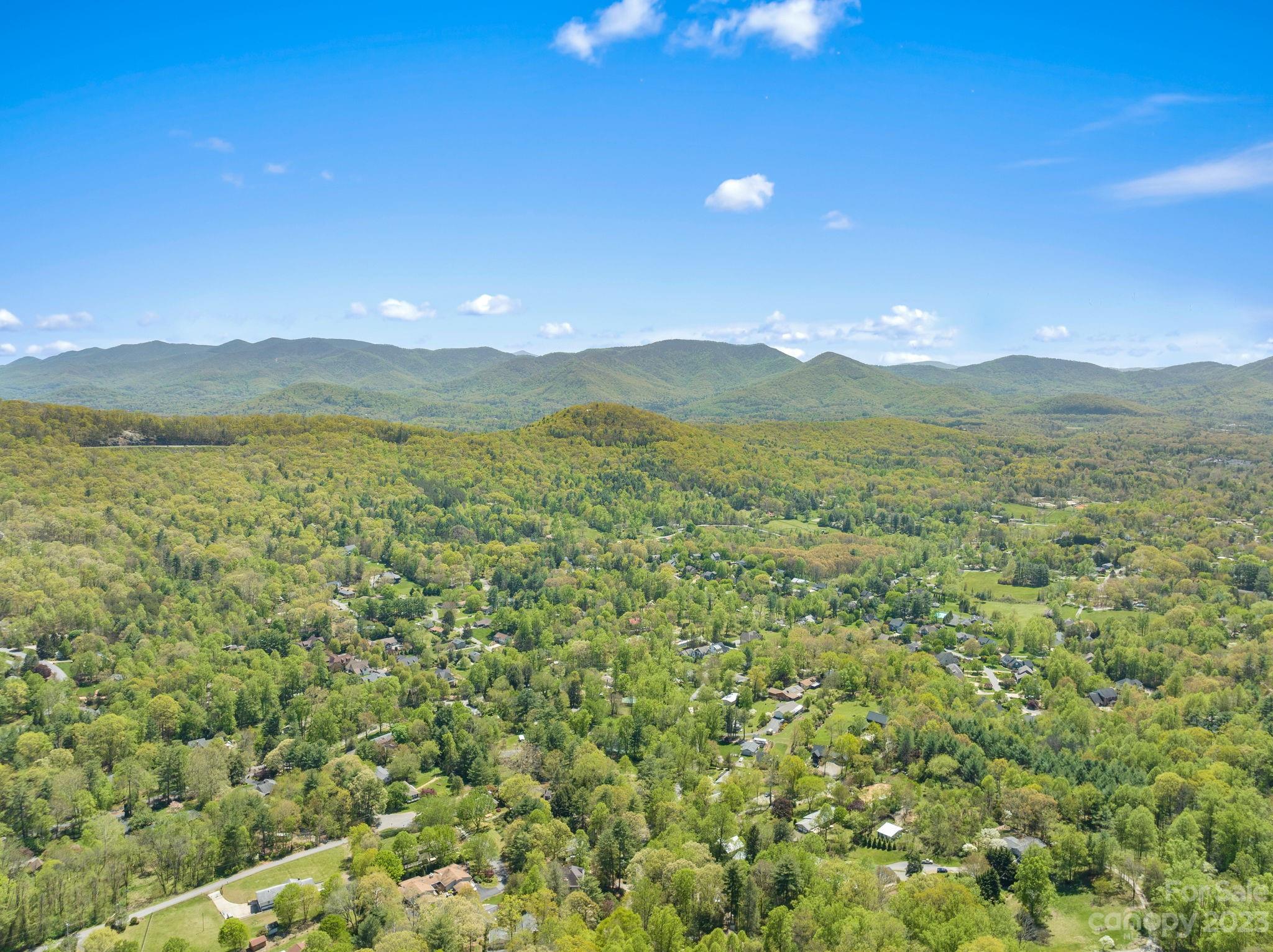 202 Mt Olive Drive Asheville, NC 28804 - Photo 45 of 48
