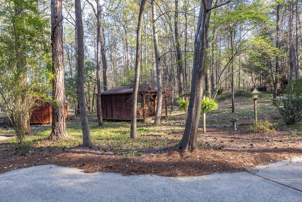 8535 Jackson Road Midland, GA 31820 - Photo 59 of 69 Gallery Image 59