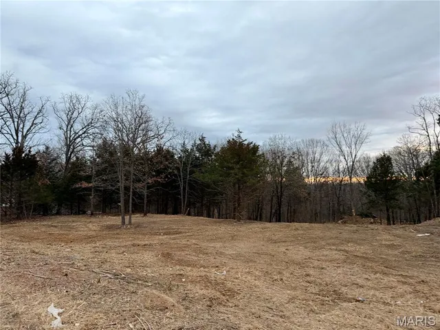 $59,900 | 0 North State Highway, Cadet, MO 63630