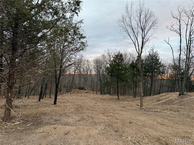 $59,900 | 0 North State Highway, Cadet, MO 63630