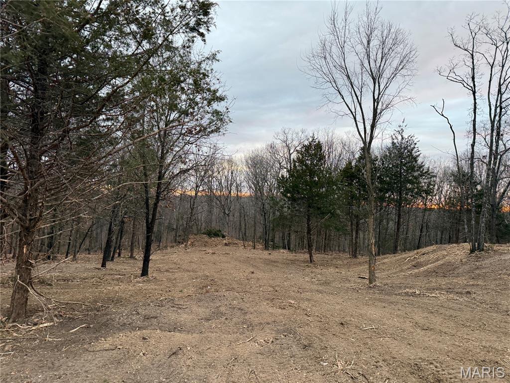 0 North State Highway Cadet, MO 63630 - Photo 7 of 10