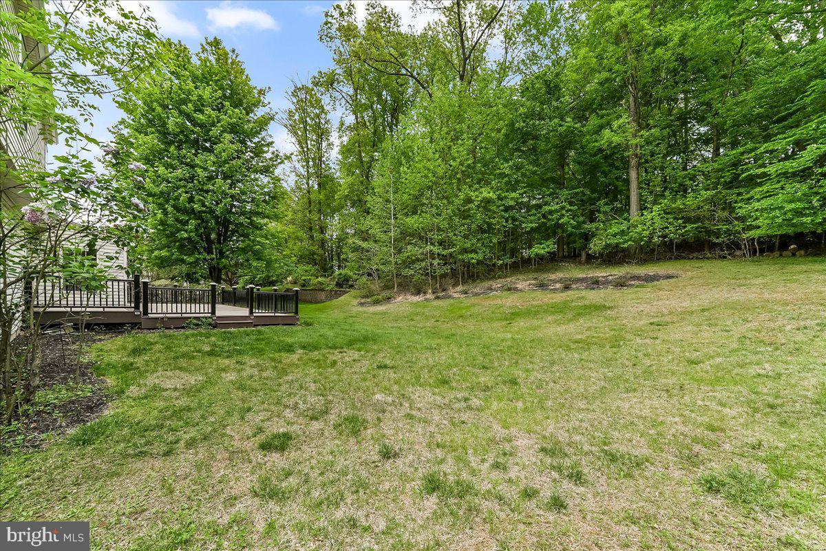 3174 William Road Garnet Valley, PA 19060 - Photo 34 of 37 Rear Yard