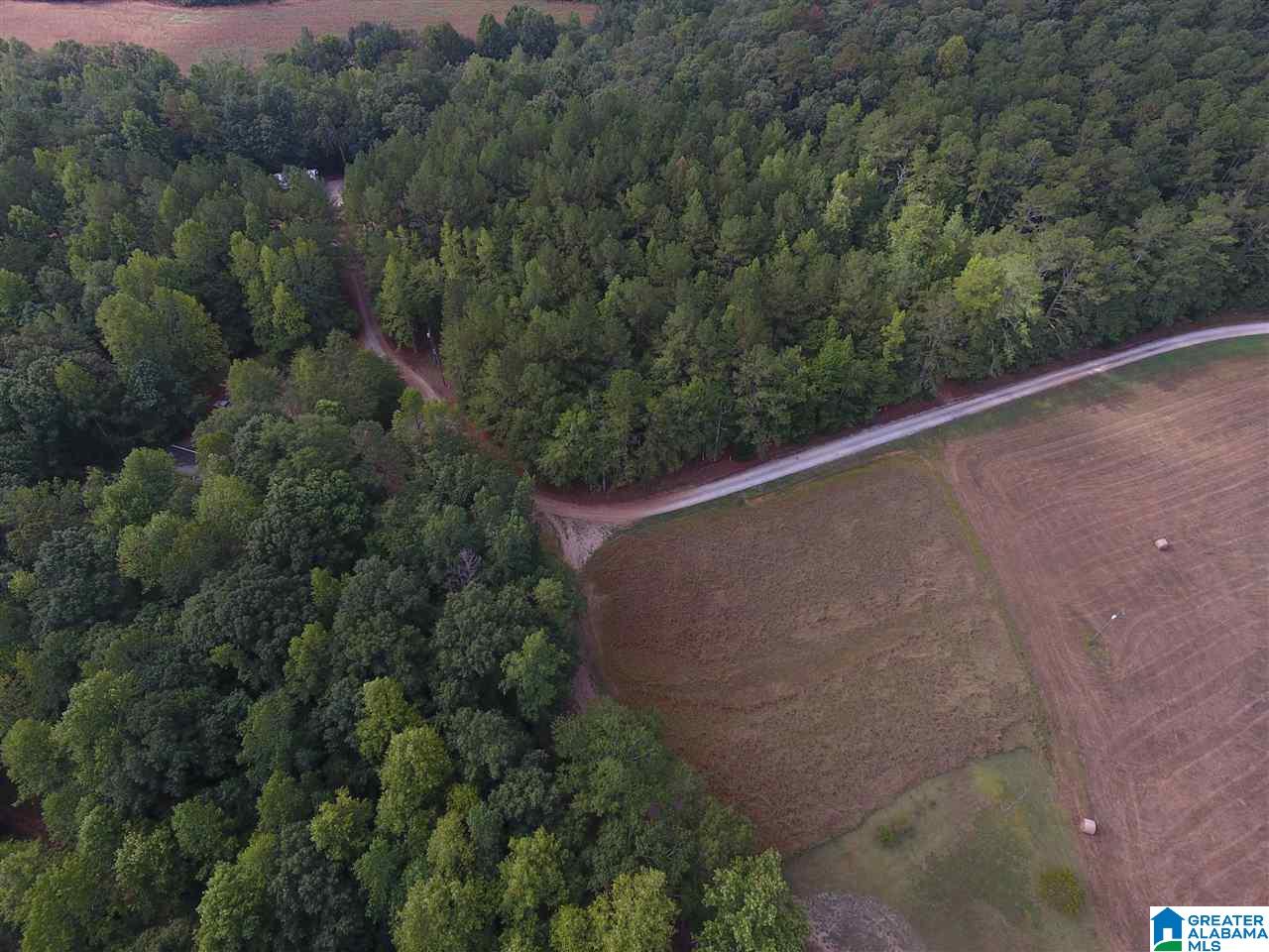 Mill Street Wedowee, AL 36278 - Photo 1 of 4