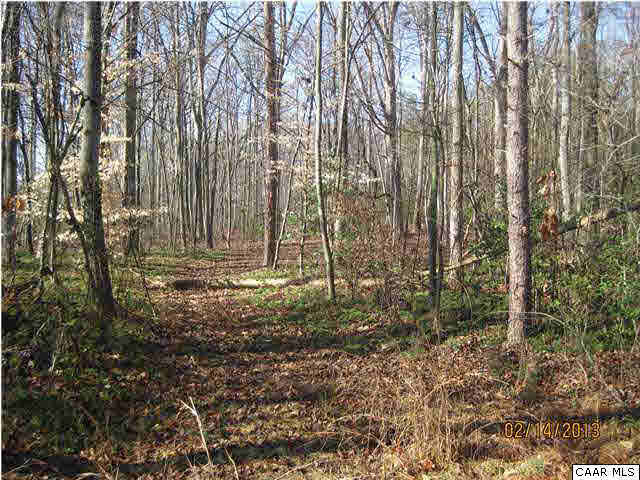6323 Community House Road Columbia, VA 23038 - Photo 9 of 11 a view of covered with trees