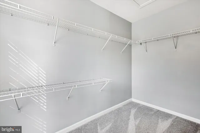 $3,295 | 15265 Leicestershire Street, Woodbridge, VA 22191