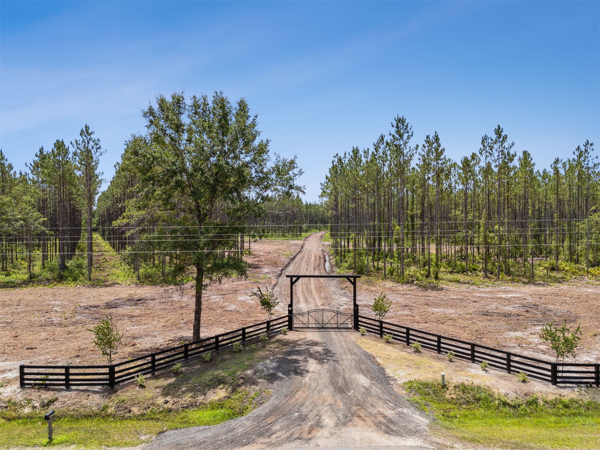 0 Lake Hampton Road Hilliard, FL 32046 - Photo 15 of 17 a view of a lake with a yard