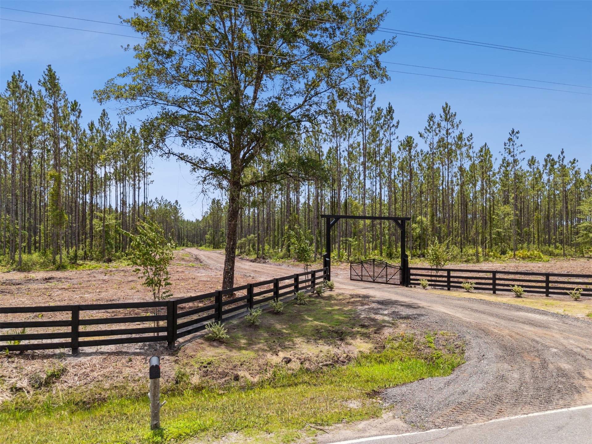 0 Lake Hampton Road Hilliard, FL 32046 - Photo 16 of 17 a view of a park with large trees