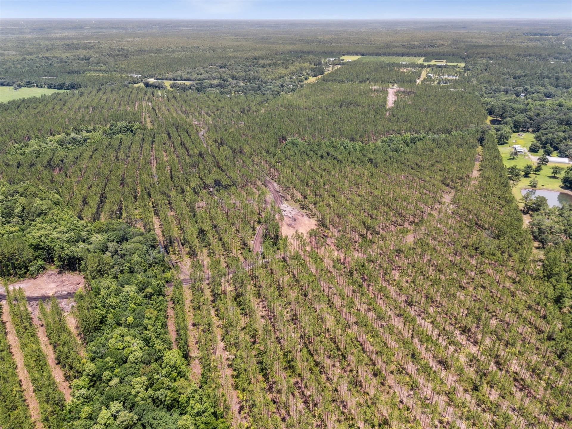 0 Lake Hampton Road Hilliard, FL 32046 - Photo 5 of 17 an aerial view of residential houses with outdoor space and trees