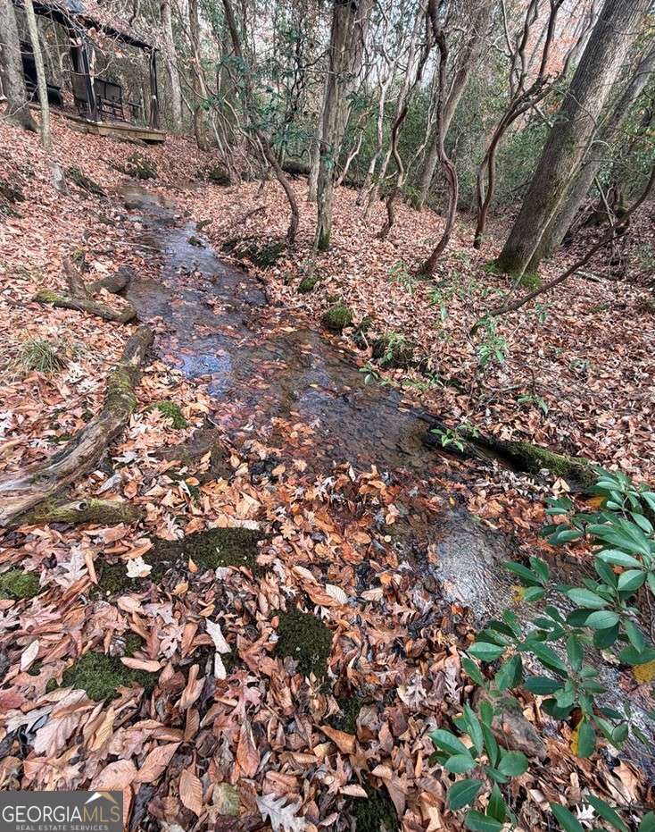 811 Magnums Trail Blue Ridge, GA 30513 - Photo 24 of 58