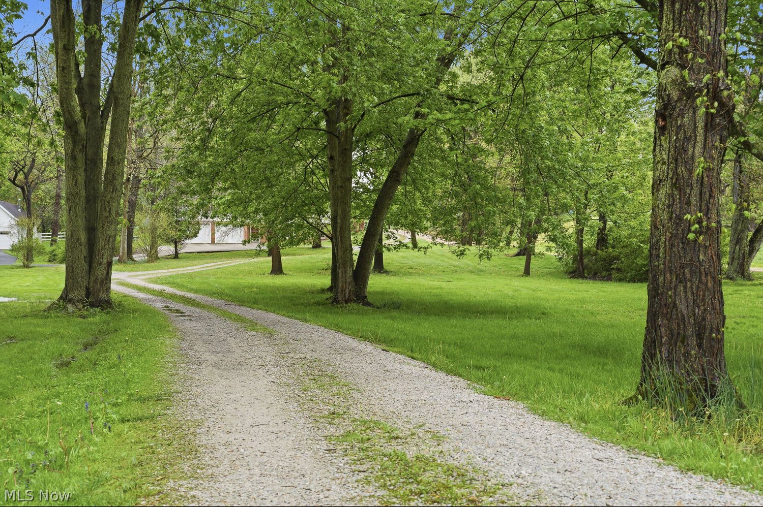 1556 Koons Road North Canton, OH 44720 - Photo 4 of 30 View from road