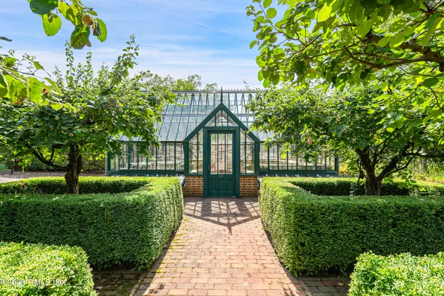 a view of a back yard