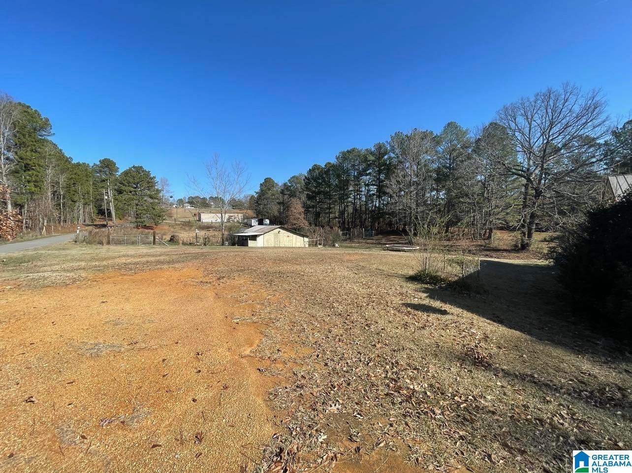 3260 County Road 27 Oneonta, AL 35121 - Photo 3 of 4