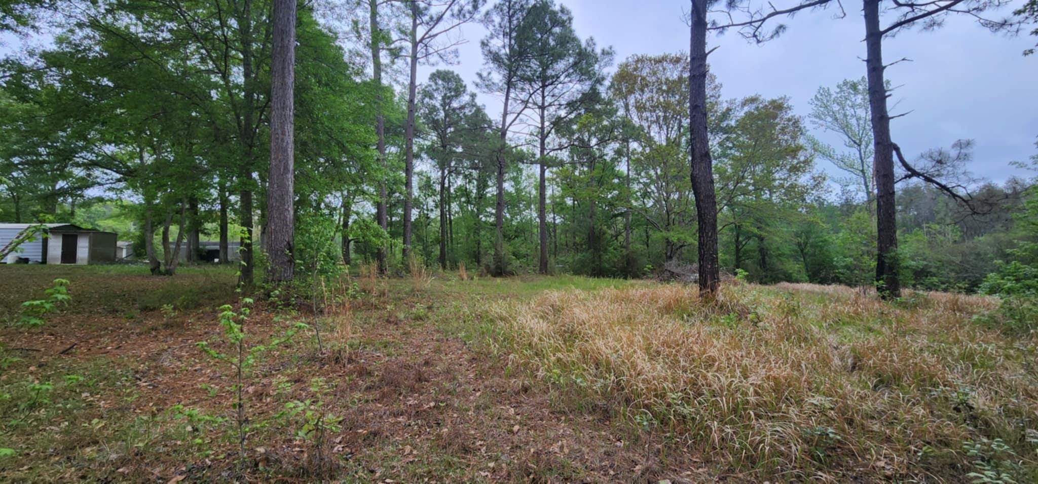 24407 Patterson Road Robertsdale, AL 36567 - Photo 10 of 18 View