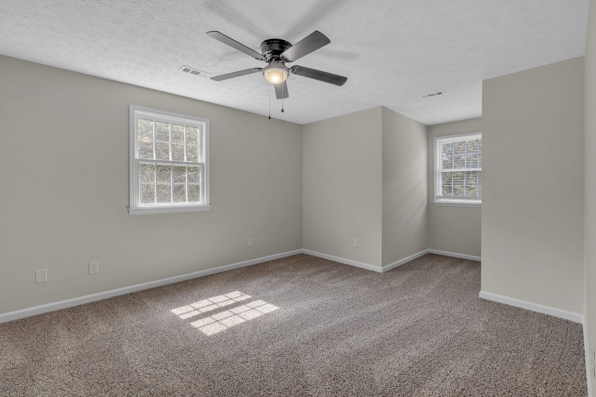 6041 Henry Gower Road Pleasant View, TN 37146 - Photo 31 of 63 an empty room with windows and ceiling fan