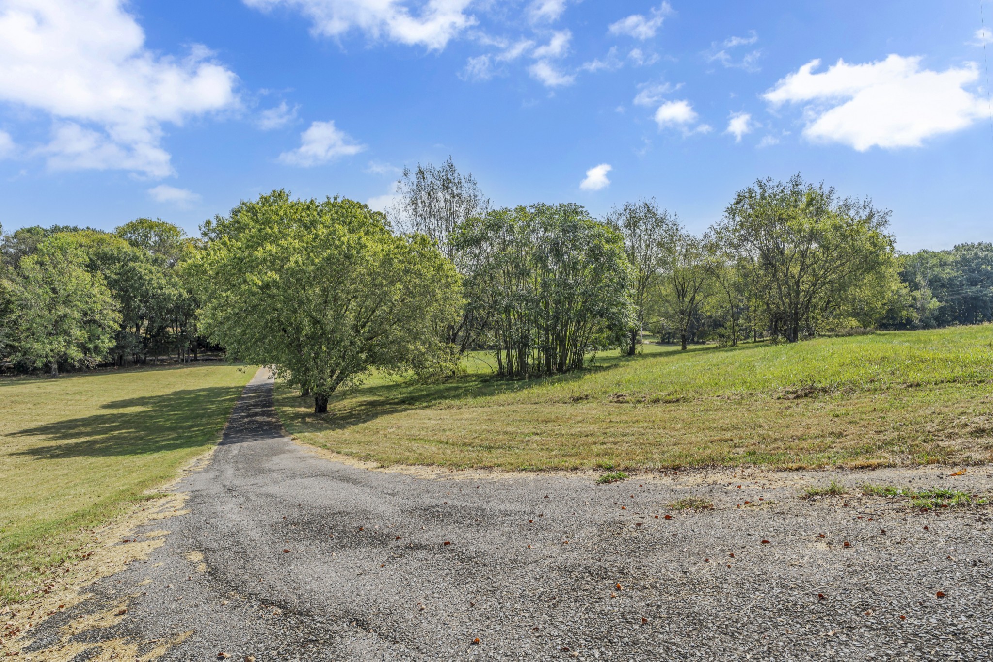 6041 Henry Gower Road Pleasant View, TN 37146 - Photo 4 of 63 a view of a field with trees in the background