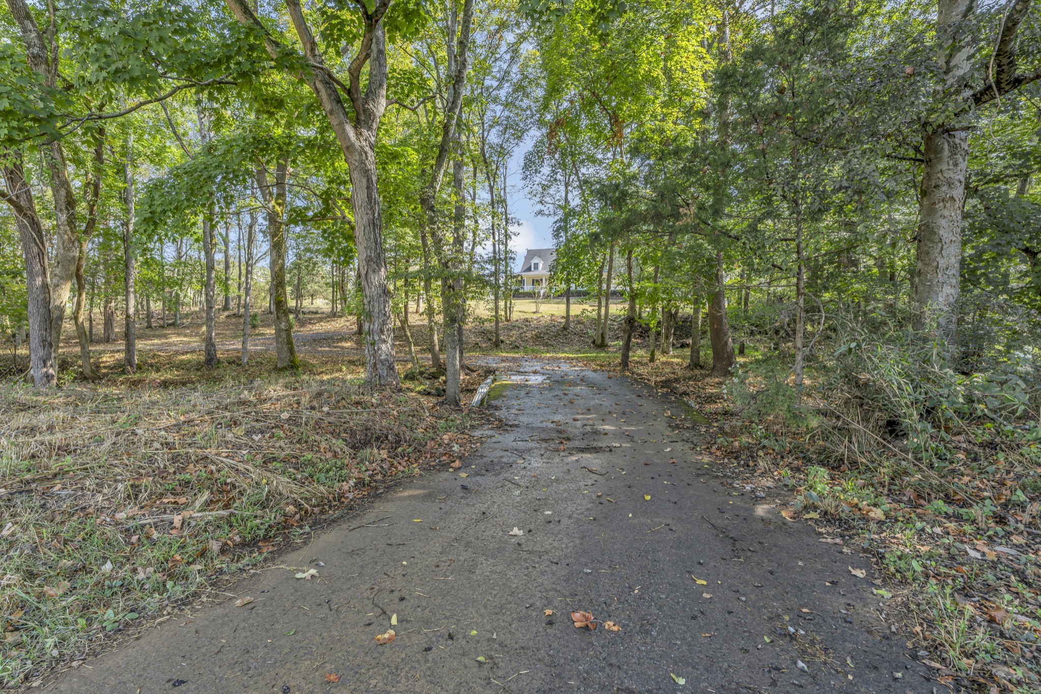 6041 Henry Gower Road Pleasant View, TN 37146 - Photo 5 of 63 a view of outdoor space with trees