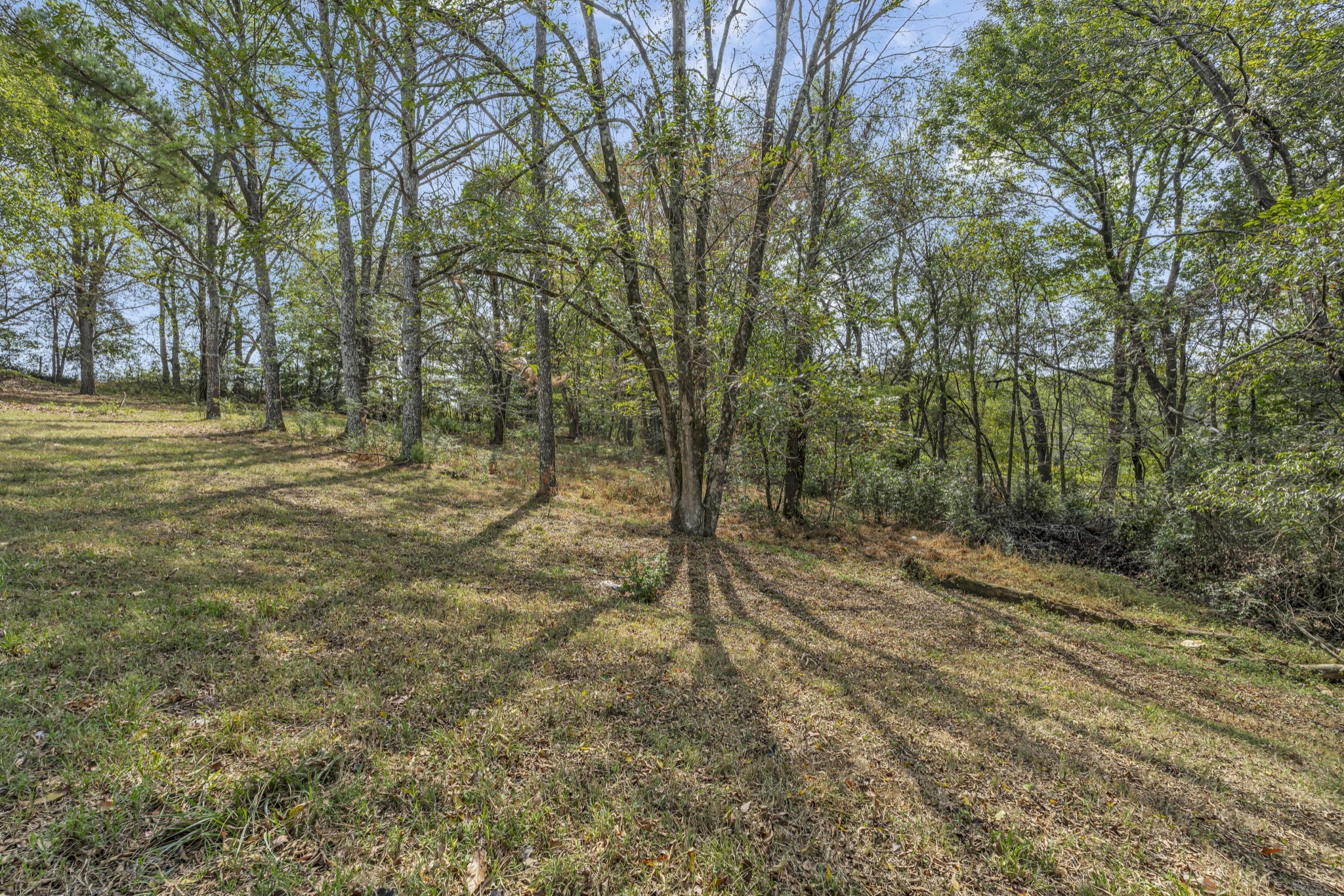 6041 Henry Gower Road Pleasant View, TN 37146 - Photo 52 of 63 a view of a yard with trees