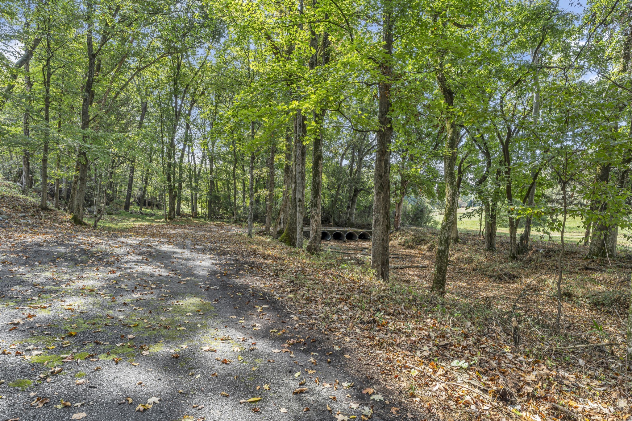 6041 Henry Gower Road Pleasant View, TN 37146 - Photo 60 of 63 a backyard of a house with lots of green space
