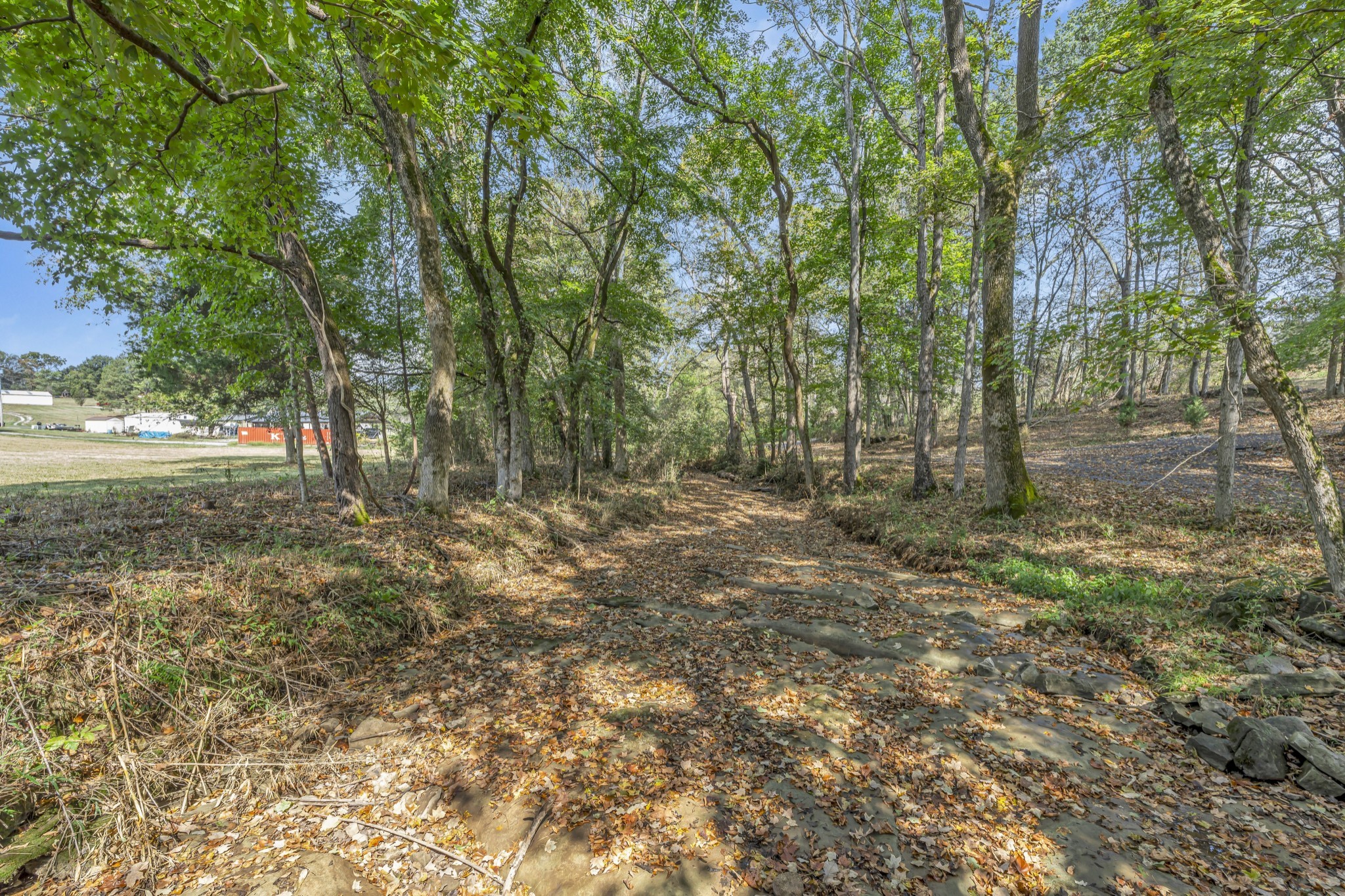 6041 Henry Gower Road Pleasant View, TN 37146 - Photo 61 of 63 a view of outdoor space with deck and yard