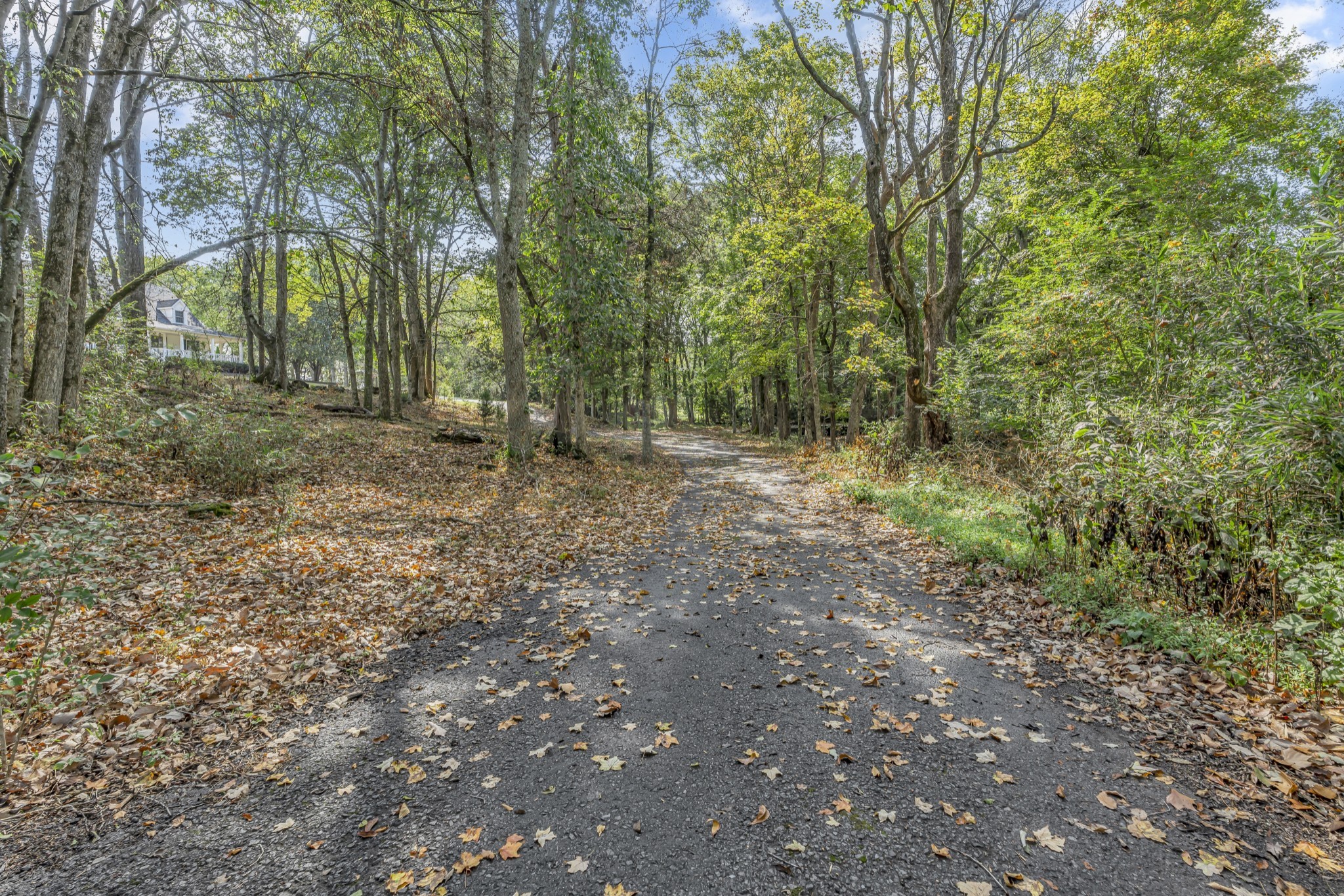 6041 Henry Gower Road Pleasant View, TN 37146 - Photo 7 of 63 a view of a forest with trees in the background