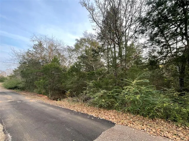 a view of a road with plants and large trees
