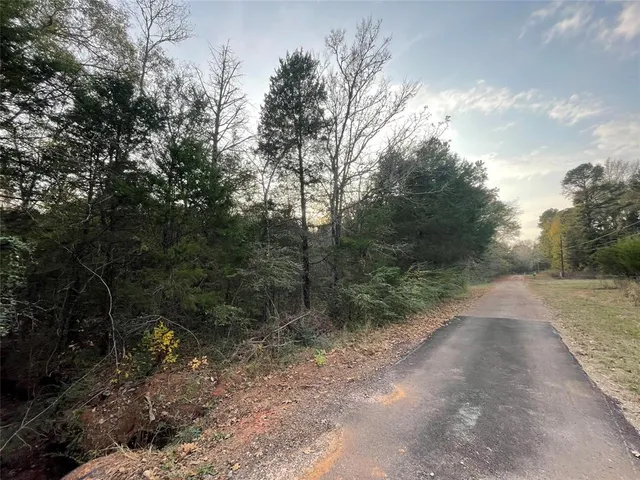 a view of a dirt road with trees in the background