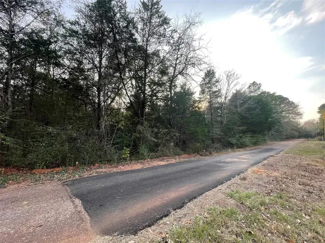 a view of a yard with large trees