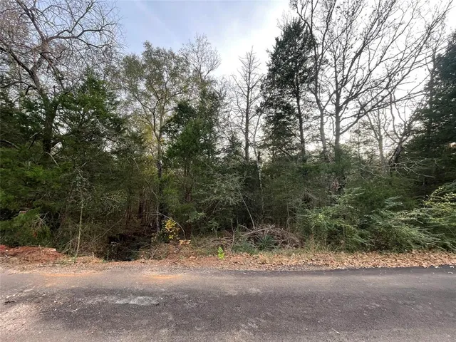 a view of a yard with a tree