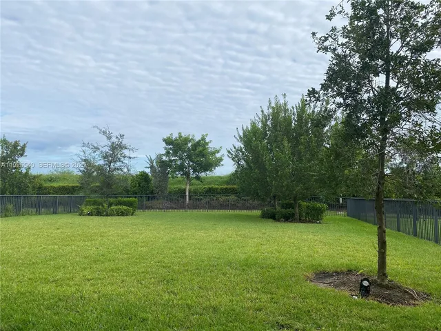 a view of a field with a tree in the background