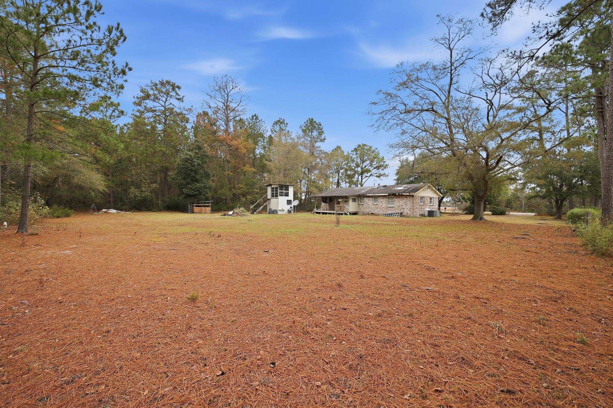 8345 Highway 917 Nichols, SC 29581 - Photo 9 of 27