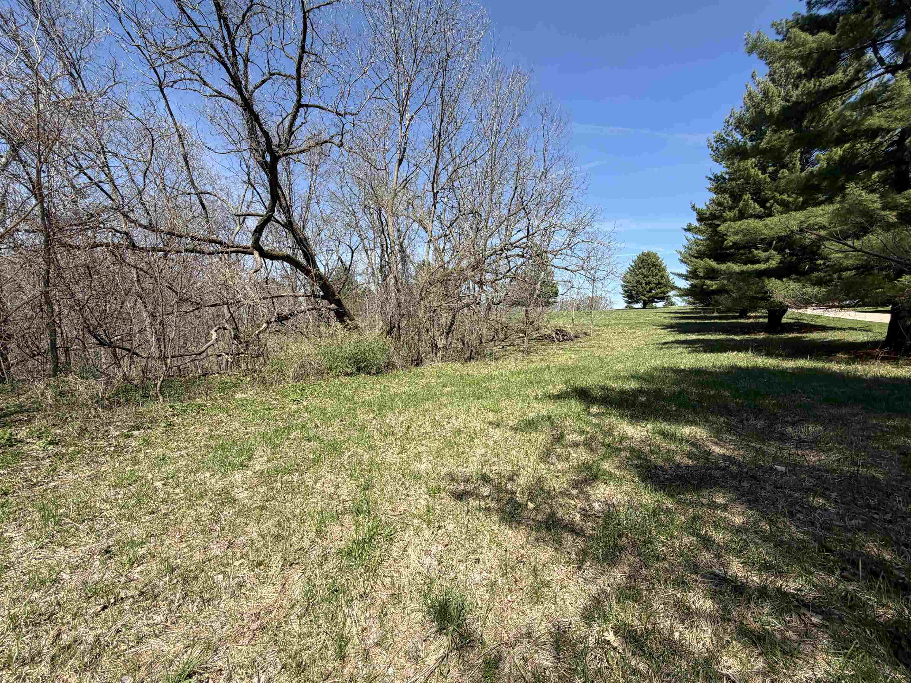 14921 Eagle Ridge Road Ferryville, WI 54628 - Photo 13 of 15