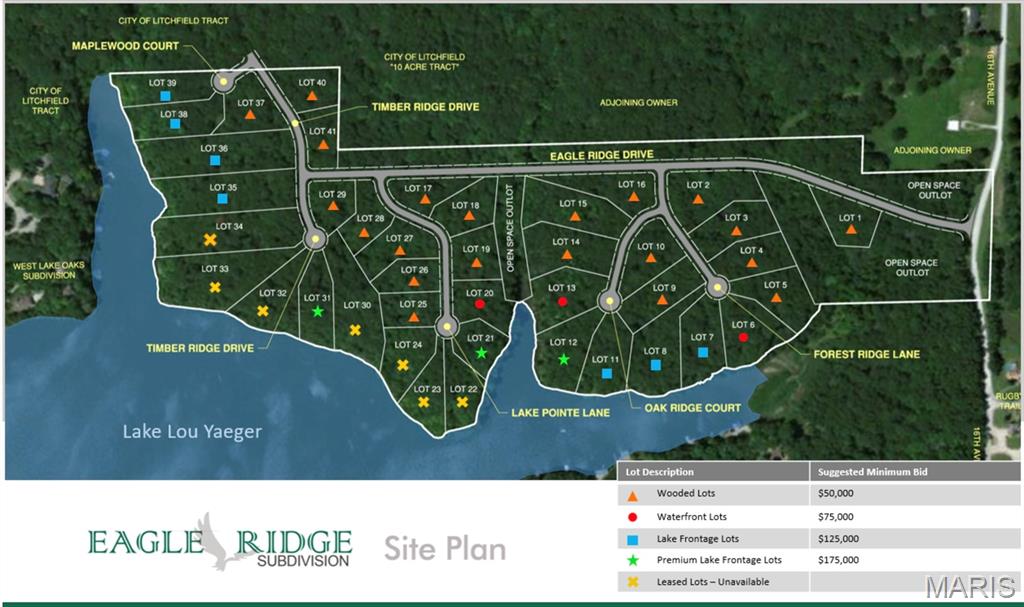 Tbd Tbd Forest Ridge Lane Litchfield, IL 62056 - Photo 2 of 9