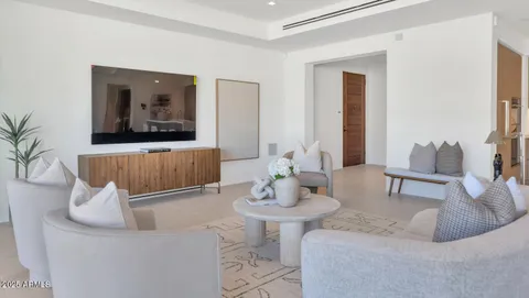 a living room with furniture and a potted plant