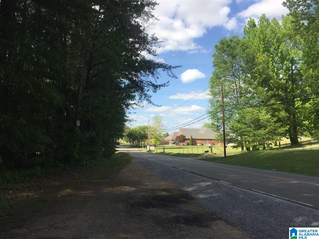 Old Village Road McCalla, AL 35111 - Photo 10 of 12