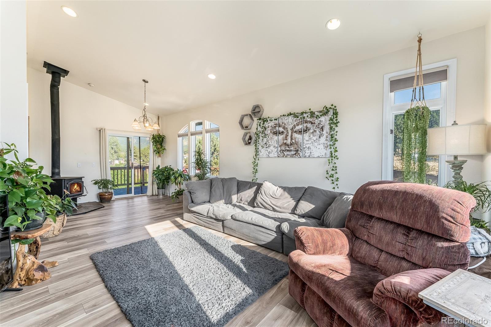 285 Appleby Street Bailey, CO 80421 - Photo 3 of 35 a living room with furniture and a potted plant