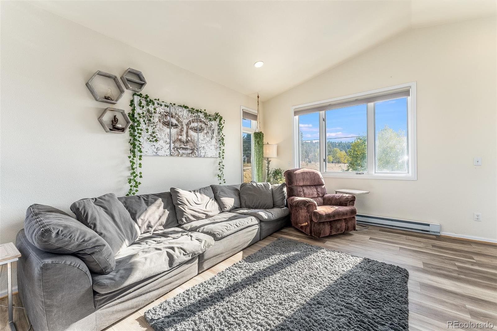 285 Appleby Street Bailey, CO 80421 - Photo 6 of 35 a living room with furniture and a window