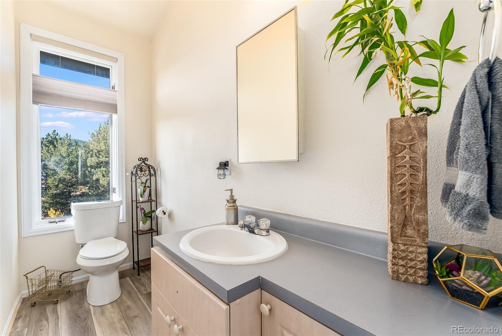 285 Appleby Street Bailey, CO 80421 - Photo 9 of 35 a bathroom with a sink a toilet and a mirror