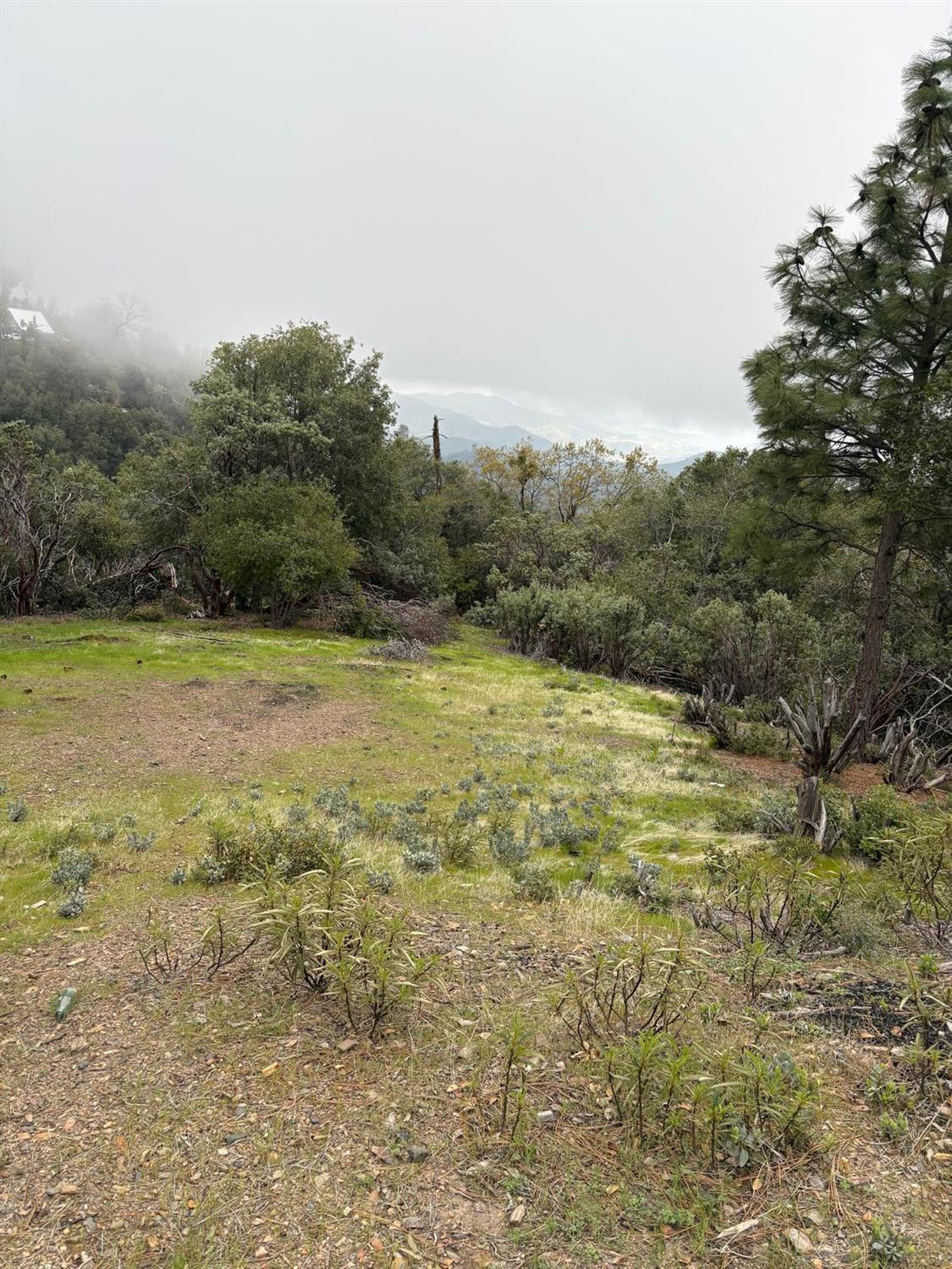 0 Jackass Ridge Road Coulterville, CA 95311 - Photo 5 of 11 Gallery Image 5