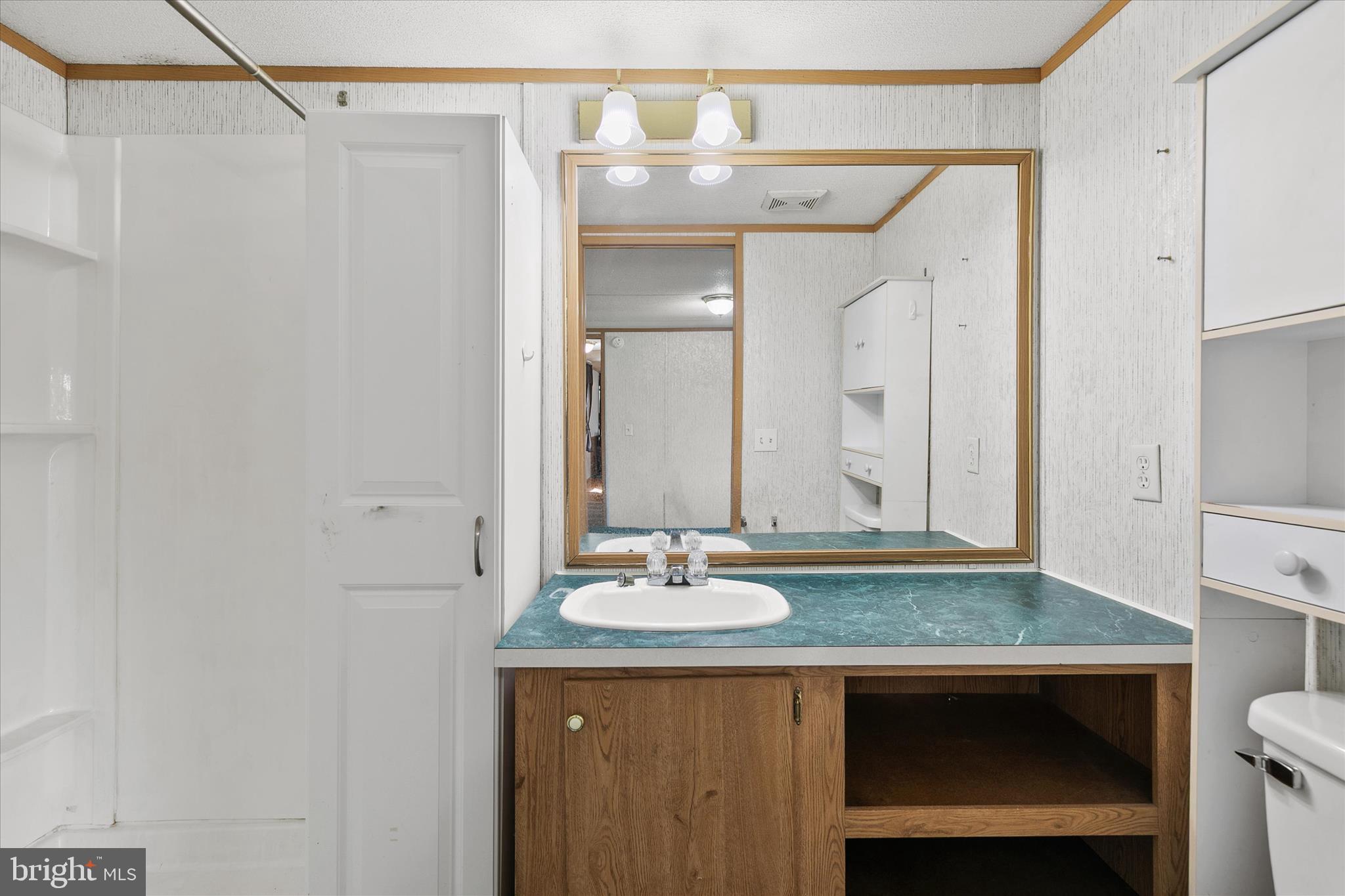 36999 Hudson Road Selbyville, DE 19975 - Photo 16 of 28 a bathroom with a sink and a mirror