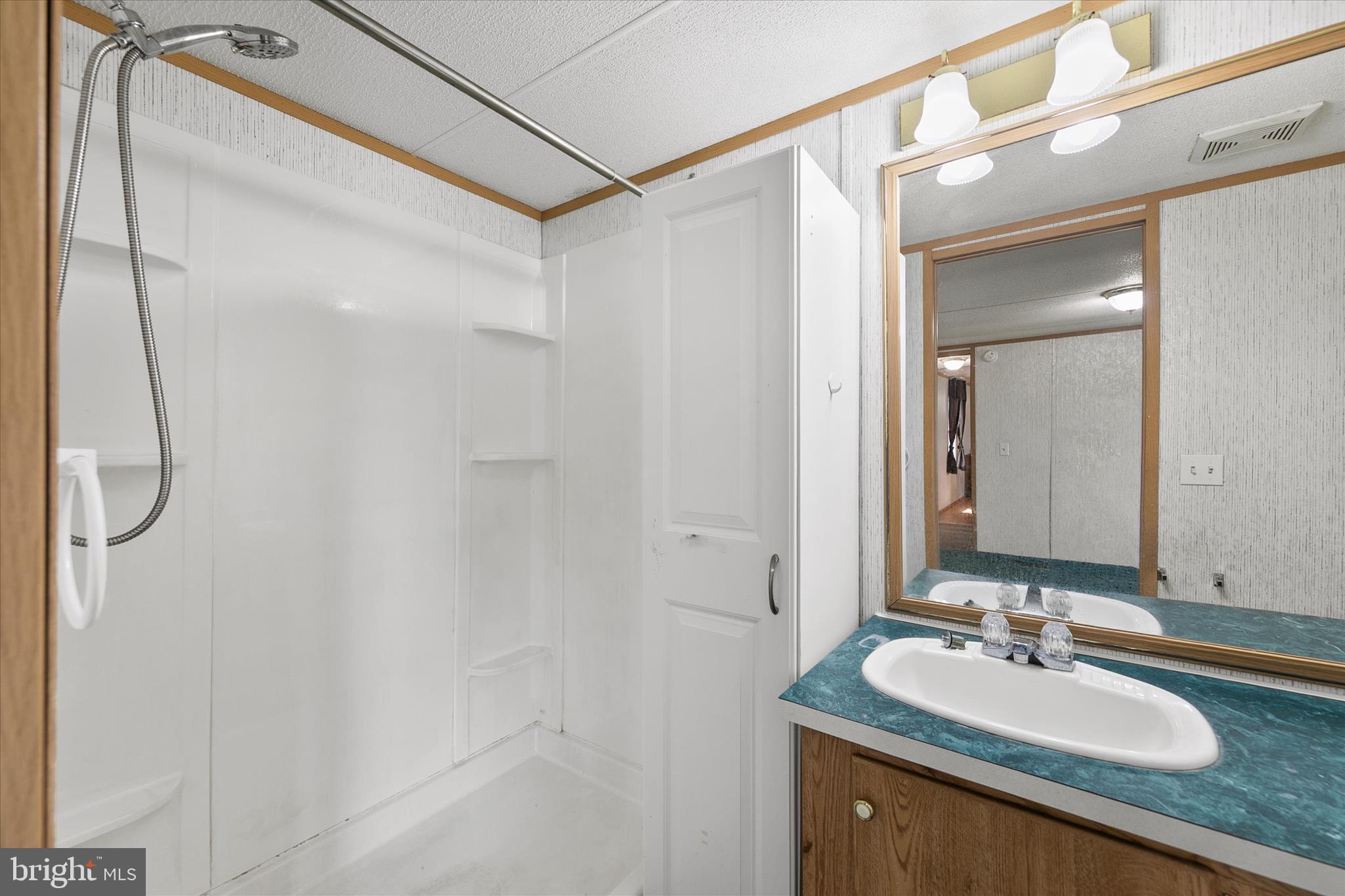 36999 Hudson Road Selbyville, DE 19975 - Photo 17 of 28 a bathroom with a sink and a mirror