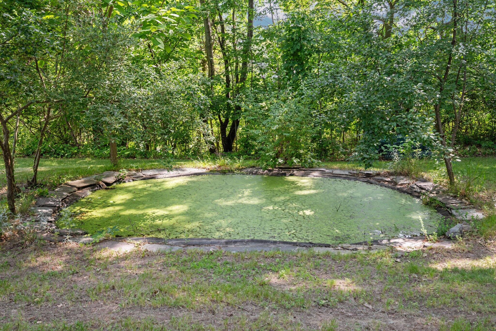 265 Glazier Road Chelsea, MI 48118 - Photo 70 of 95 67-web-or-mls-DSC03981