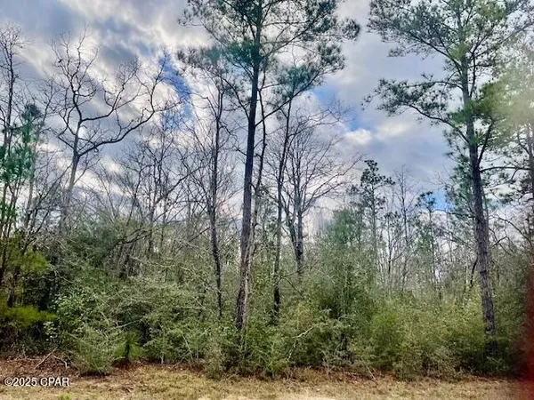 $12,000 | Lot 9 Red Road, Marianna, FL 32448