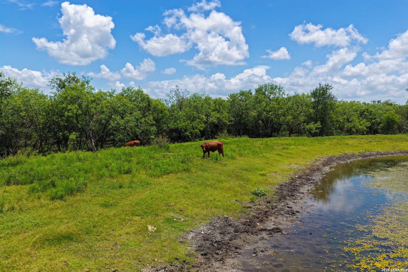 2249 Long Road Lockhart, TX 78644 - Photo 11 of 32