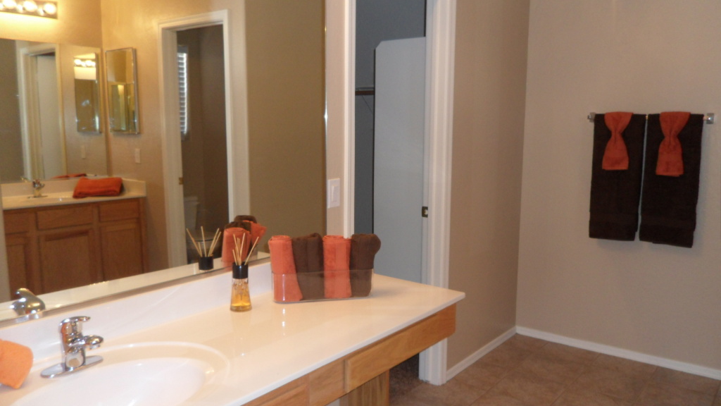 2034 West Tanner Ranch Road Queen Creek, AZ 85144 - Photo 11 of 16 master bath