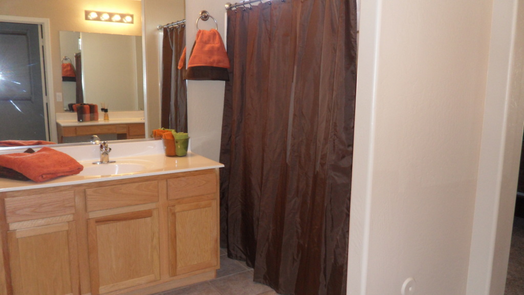 2034 West Tanner Ranch Road Queen Creek, AZ 85144 - Photo 12 of 16 master bath