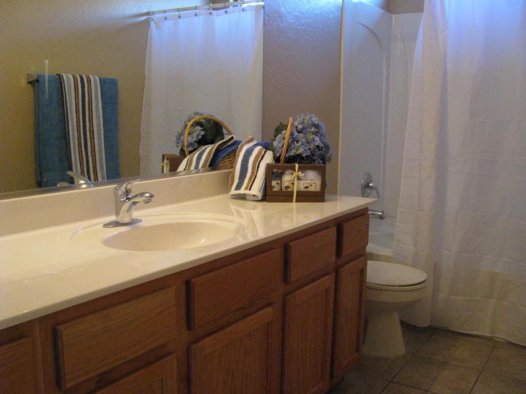 2034 West Tanner Ranch Road Queen Creek, AZ 85144 - Photo 13 of 16 bath